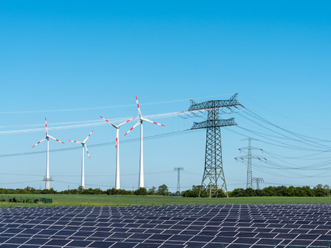 Energies protection anti-intrusion de rongeurs