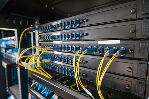 telecommunication protection anti-intrusion de rongeurs