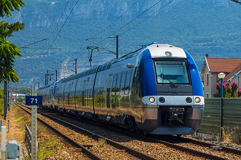 transports protection anti-intrusion de rongeurs
